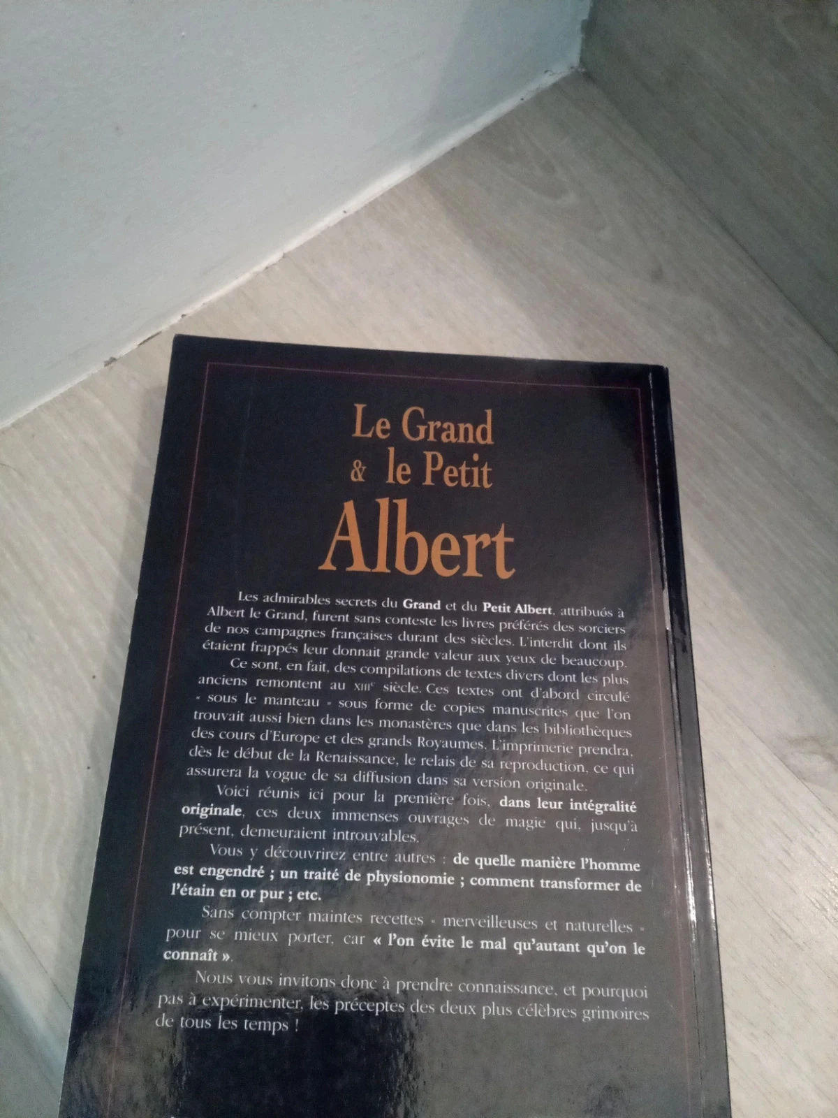 Le grand et le petit Albert – photo 2